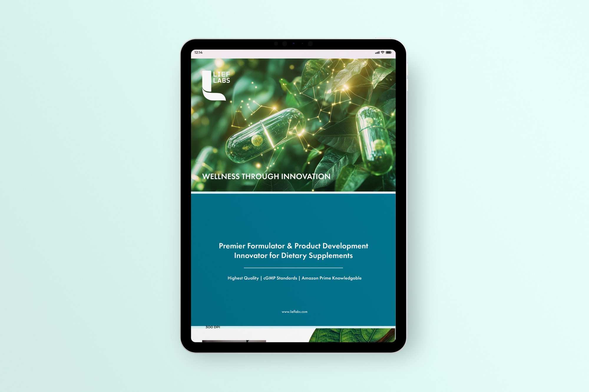 Digital Brochure