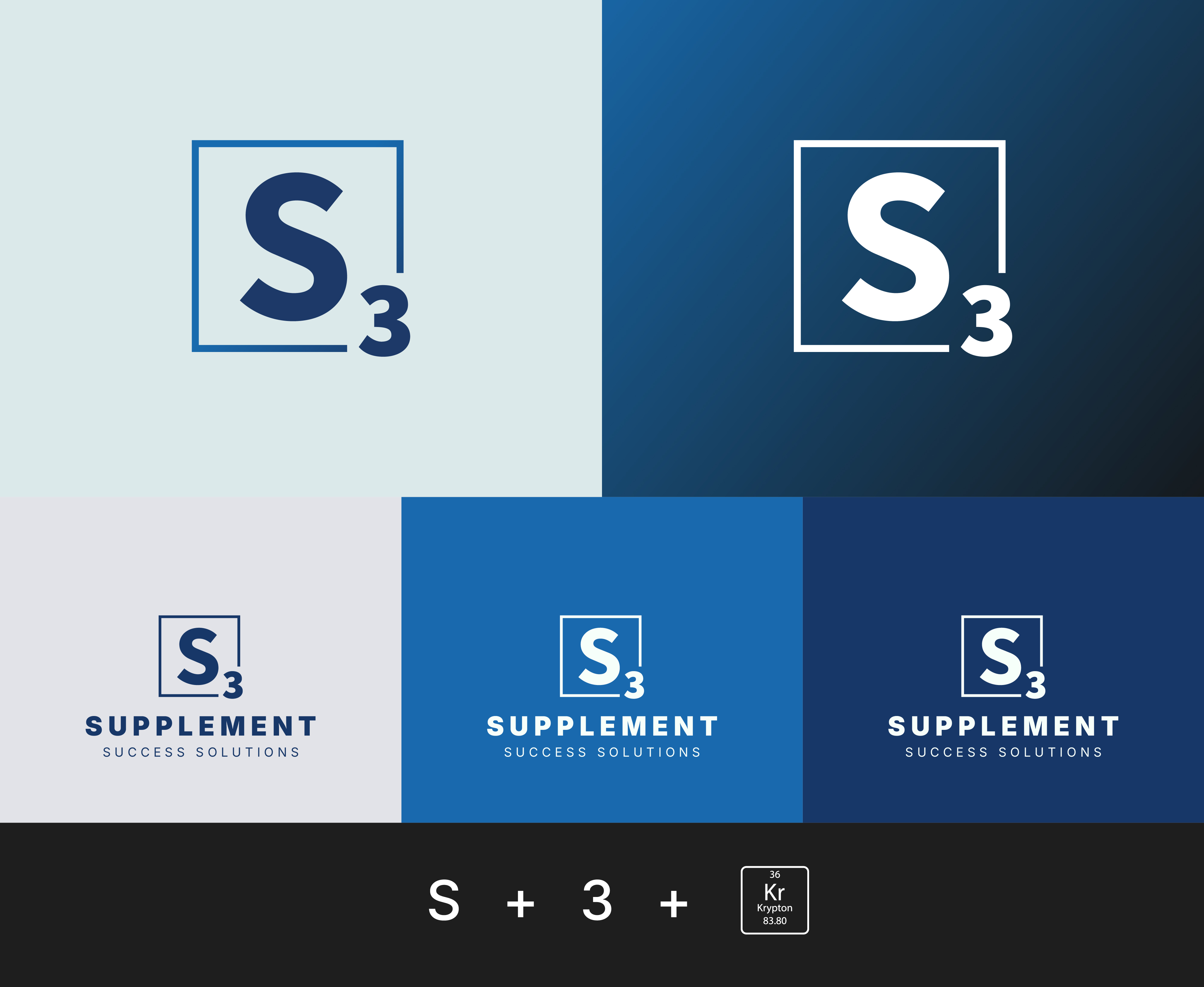 S3 Logo Variations and Lockups